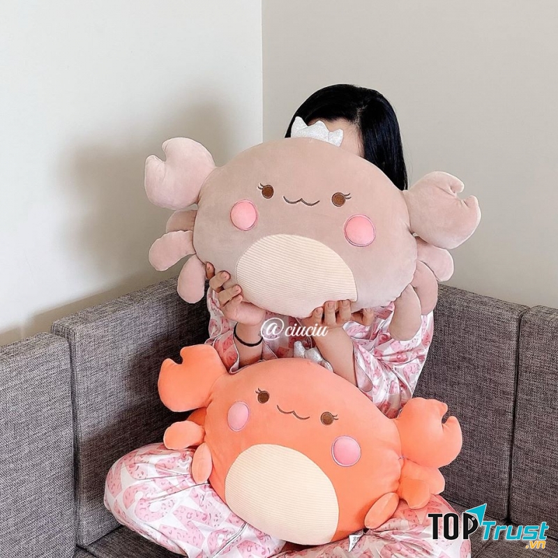 Ciu Ciu - Quà tặng & Đồ gia dụng