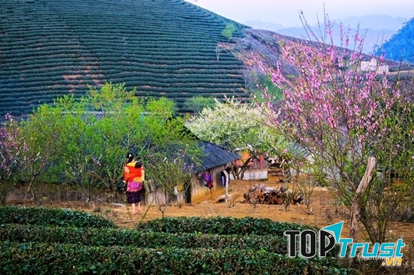 Con người thân thiện dễ mến