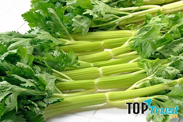 Cần tây rất tốt cho sức khỏe