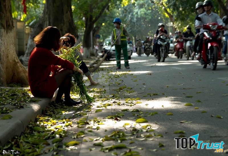 Cô công nhân quét rác