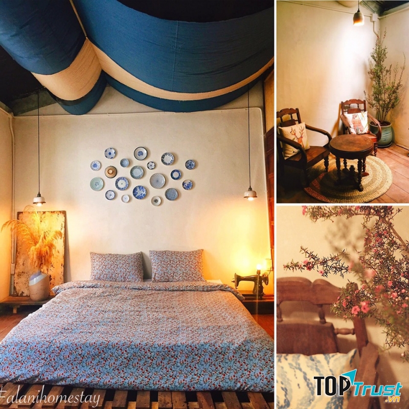 Alani Homestay