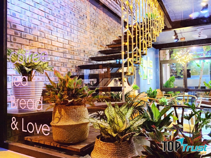 ALITA drink & food 1