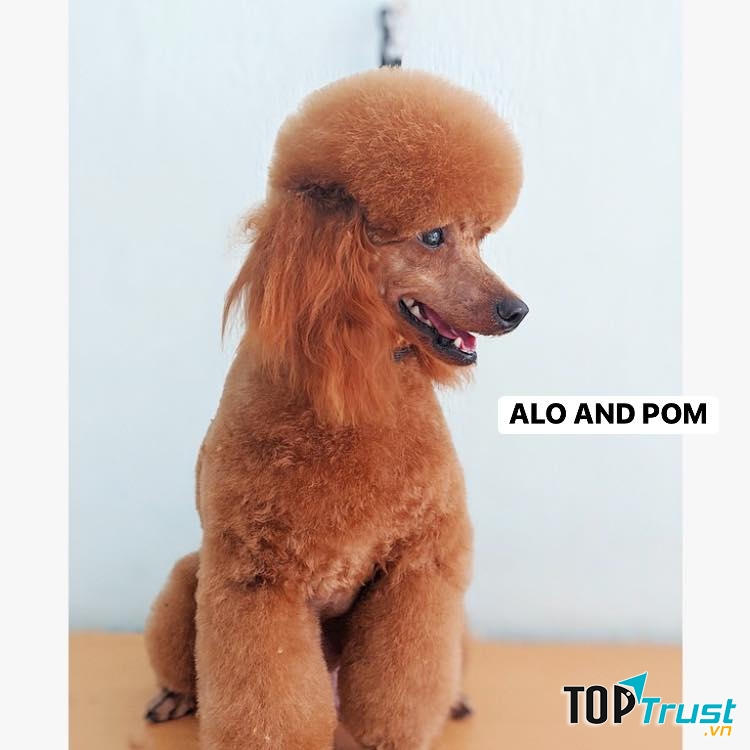 Alo and Pom