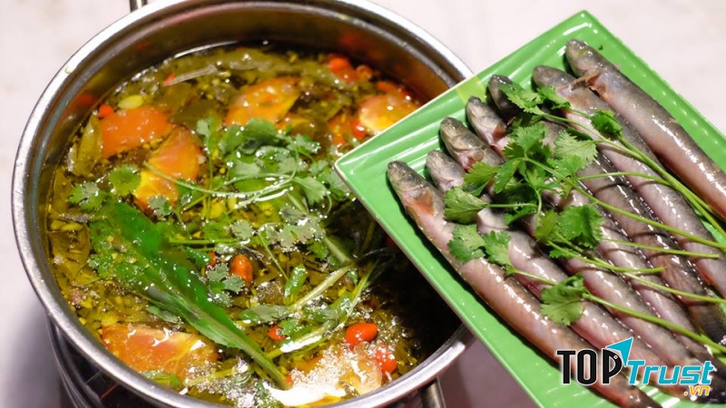 Thành Thuý - Cơm Bình Dân & Lẩu Hải Sản