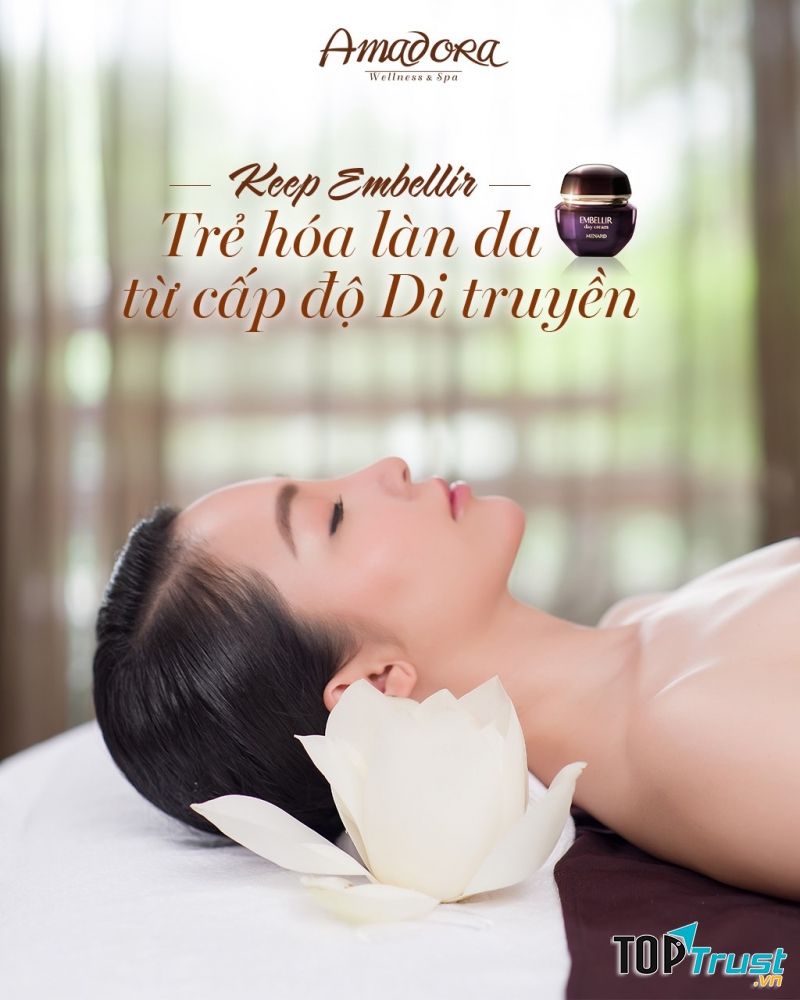 Amadora Wellness & Spa – Vẻ đẹp phương Đông huyền bí