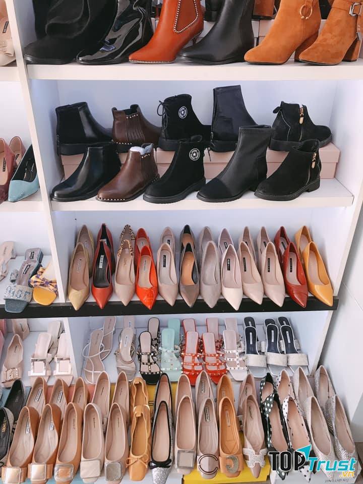 AMY cung cấp đa dạng loại giày khác nhau