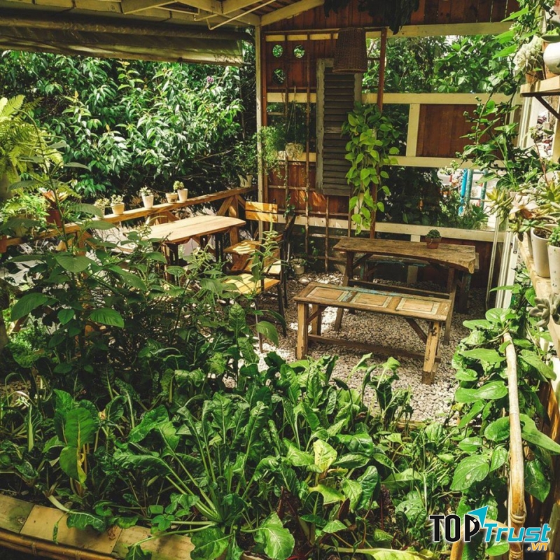 Cùng hòa mình với thiên nhiên