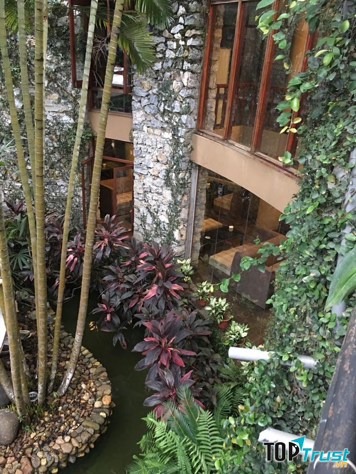 An Coffee Koi Farm