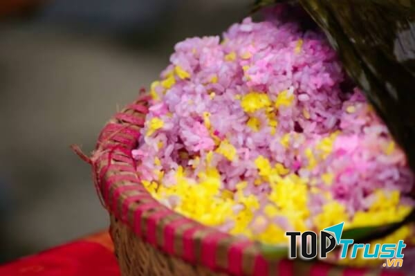 Nếp Tú Lệ