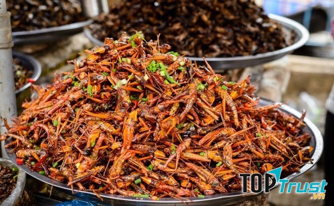 Châu chấu rang