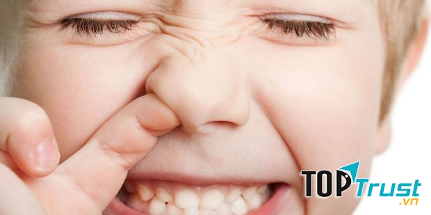 Ăn gỉ mũi tốt cho sức khỏe