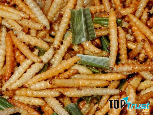 Ăn sâu bướm mừng Giáng sinh