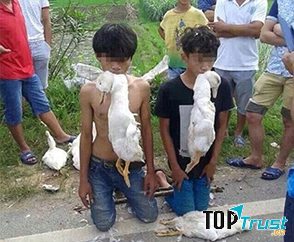 Ăn trộm phải trả nợ