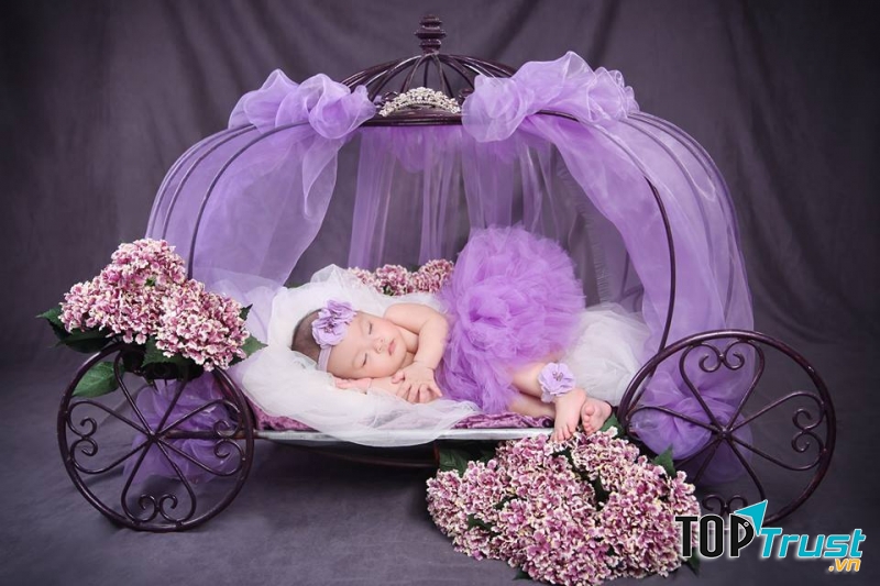 Giấc mơ màu tím