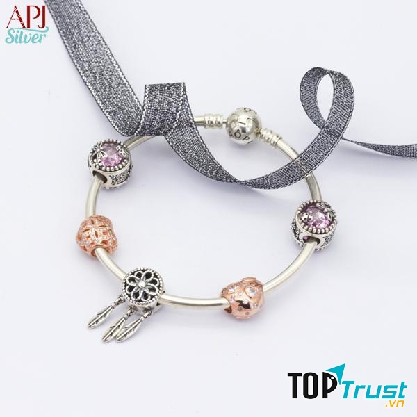 Anh Phương Siliver