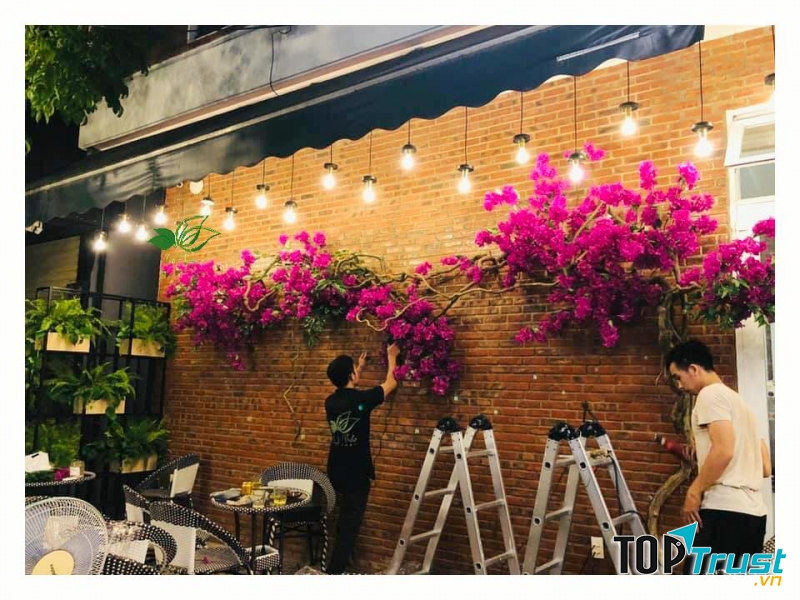 Hoa giấy- đẹp đến ngỡ ngàng