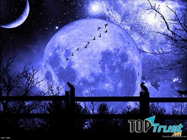 Ánh trăng không hiểu lòng tôi