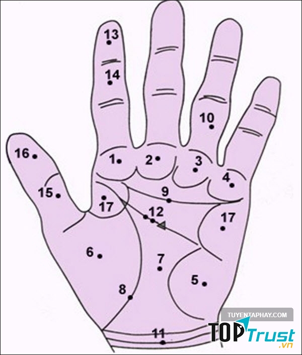 Những đường nét trên bàn tay cũng nói lên vận mệnh của bạn
