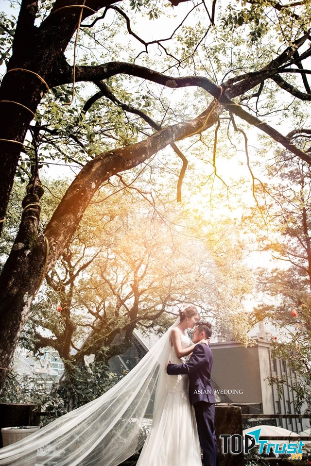 Ảnh Viện Áo Cưới Asian