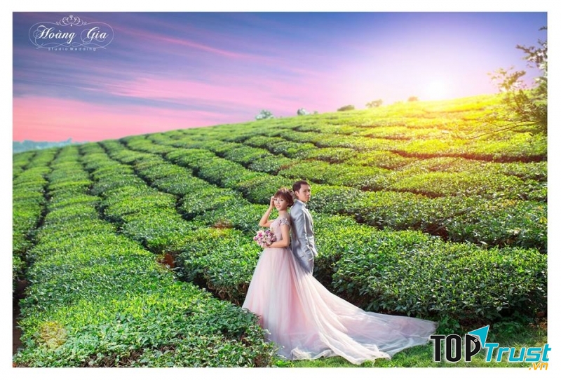Ảnh Viện Áo Cưới Hoàng Gia