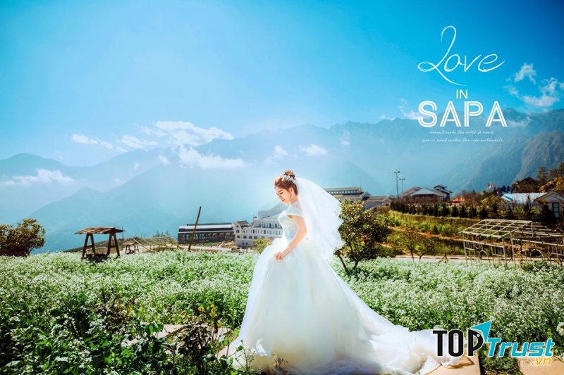 Bồng bềnh mây trắng