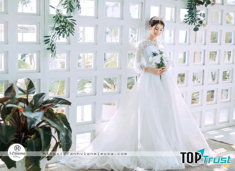 Ảnh viện áo cưới Mimosa