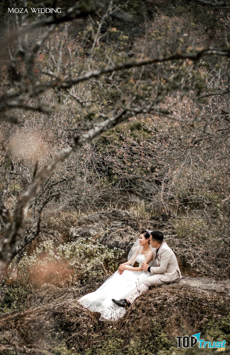 Ảnh Viện Áo Cưới Moza