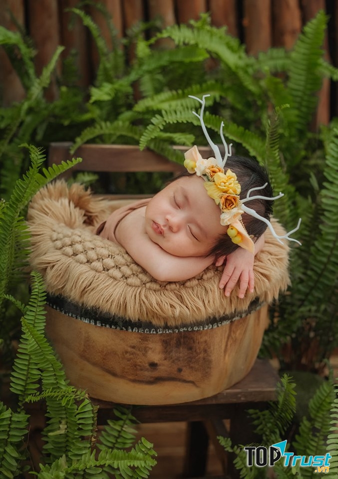 Ảnh Viện Gia Đình - Trịnh Vũ Studio