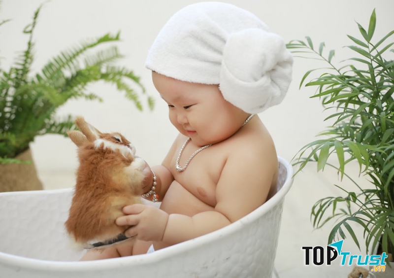 Ảnh Viện Gia Đình - Trịnh Vũ Studio