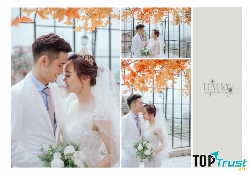 Ảnh viện Hà Anh