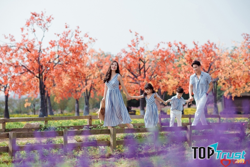 Ảnh viện gia đình Vivian