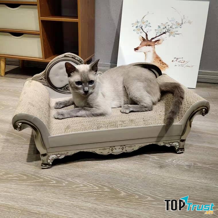 Phong cách hoàng gia