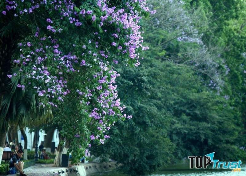 Ở trên con phố Tràng Thi vào mùa hè, mùa thu, ngoài nhìn ngắm Annie’s Little Hanoi, bạn còn được sống trong một khung cảnh lãng mạn và nên thơ rất riêng của Hà Nội