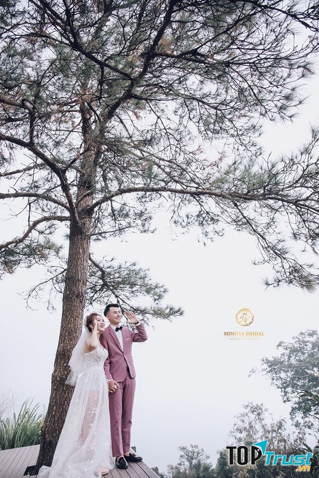Áo Cưới Mimosa Sơn Tây