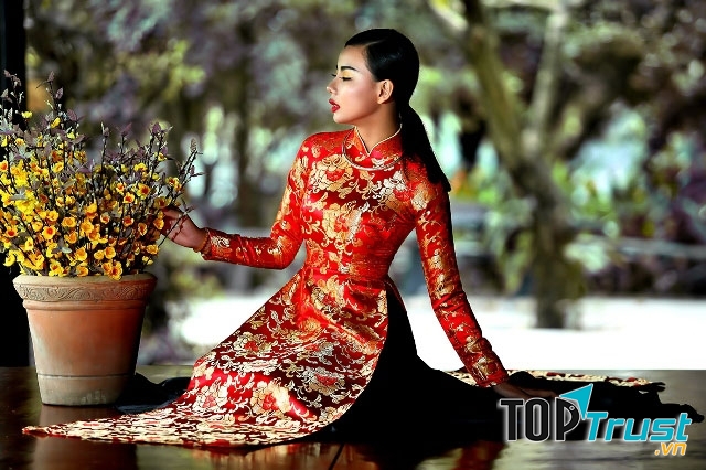 Bậc vua chúa triều đình Việt Nam rất chuộng kiểu áo dài may từ các loại gấm này bởi chúng giúp thể hiện sự sang trọng và quý phái cho người mặc.