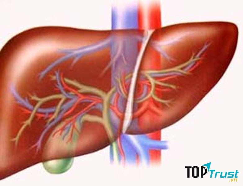Ảnh minh họa (Nguồn Internet)