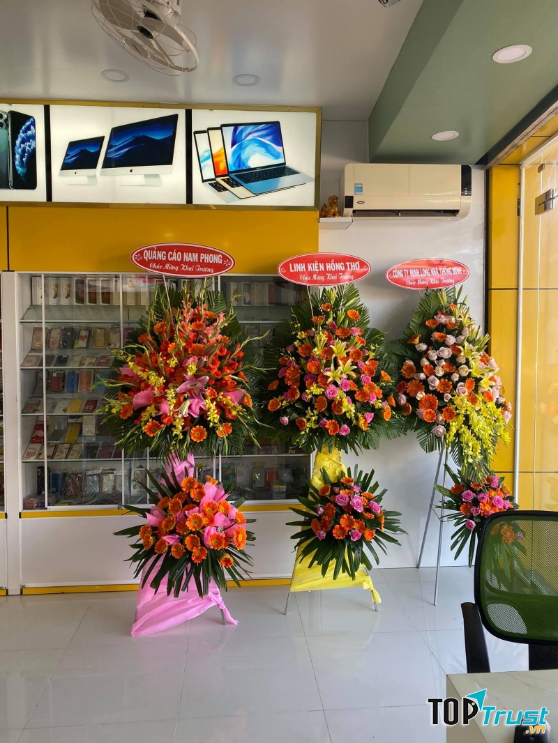 Apple Bến Tre - Hoàng Huy