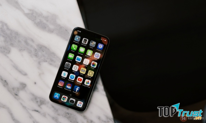 Apple iPhone X