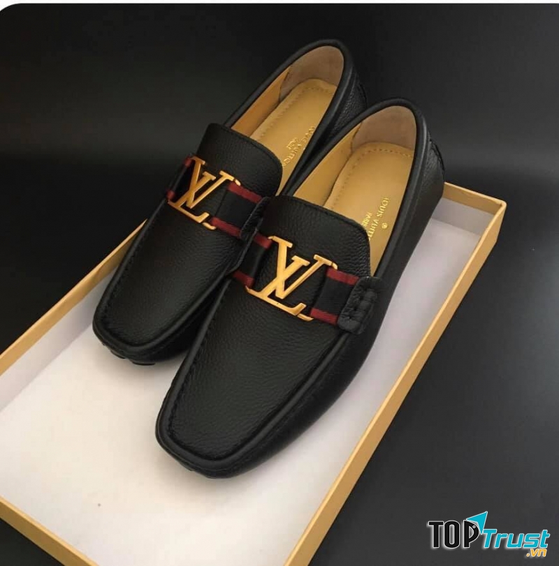 Aristino Đô lương