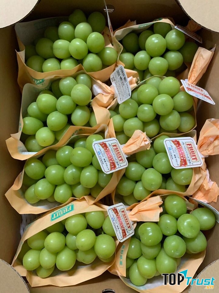 ASC Fruits - Trái cây nhập khẩu