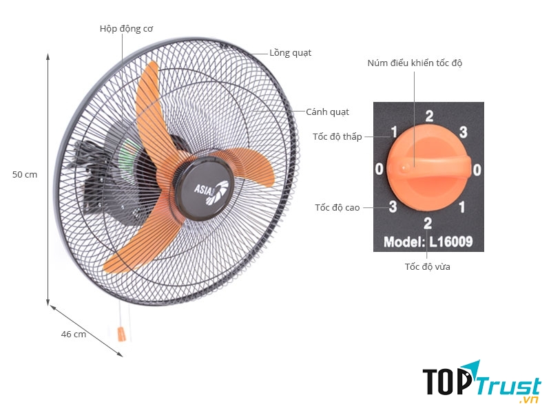 Quạt treo tường của Asia