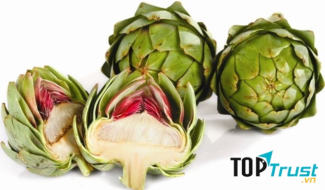 Hoa atiso trị mụn hiệu quả