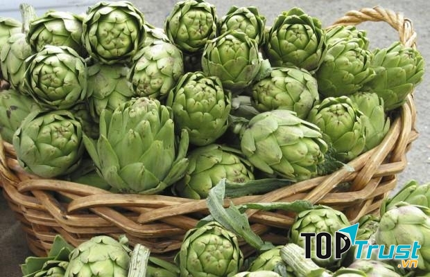 Atisô là một loại thảo dược được trồng khá phổ biến ở vùng ngoại ô thành phố Đà Lạt