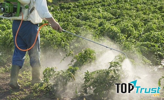 Thuốc diệt cỏ atrazine gây ô nhiễm nguồn nước