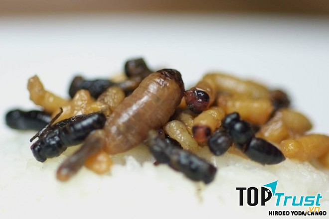 Ấu trùng ong (Hachinoko)