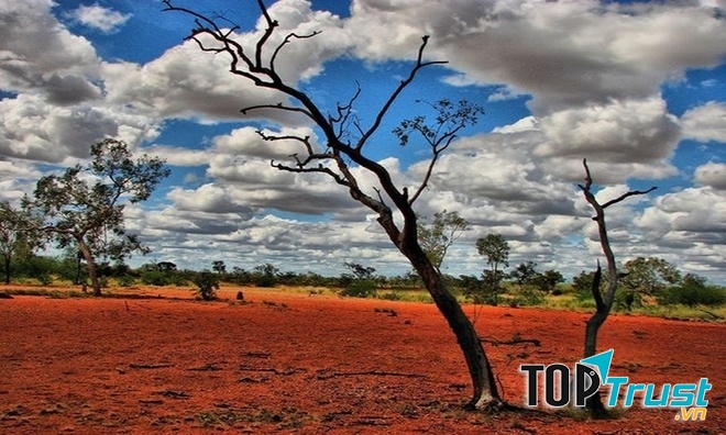 Nắng nóng khủng khiếp ở Australia