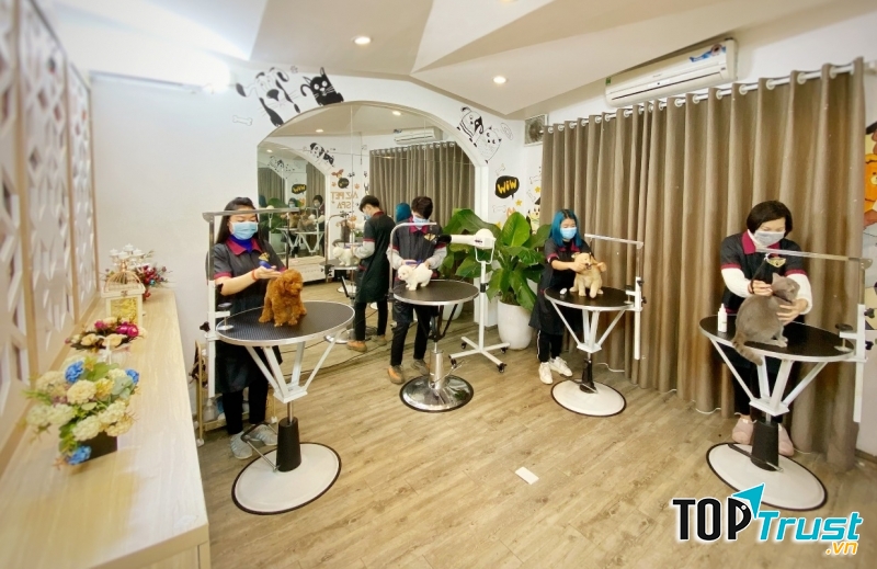 Phòng Grooming tại Azpet Spa