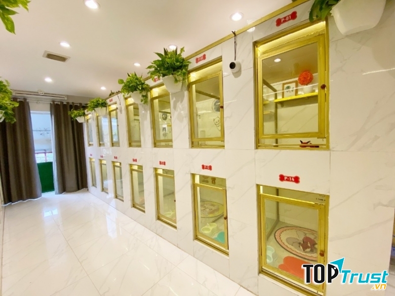 Hệ thống phòng khách sạn lưu trú tại AZPET