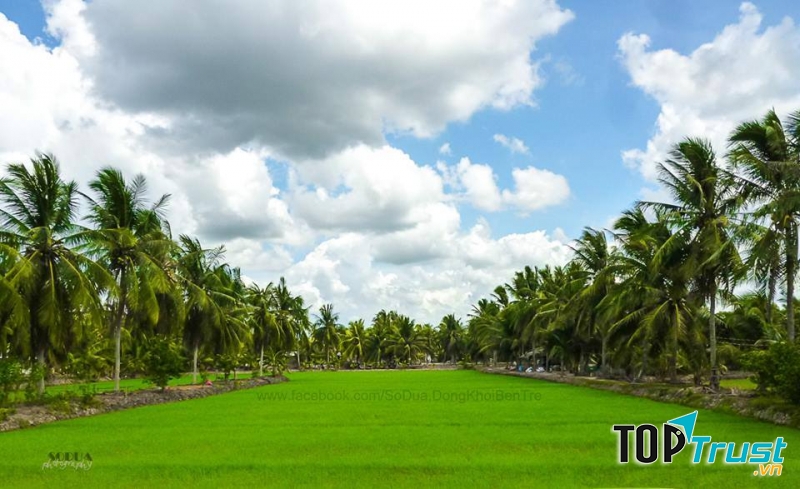 Ba Danh Homestay