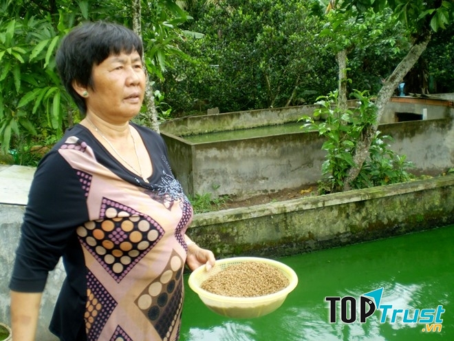 Bà Trịnh Thị Nguyệt